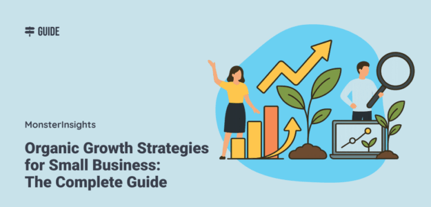 Organic growth business strategies for small business